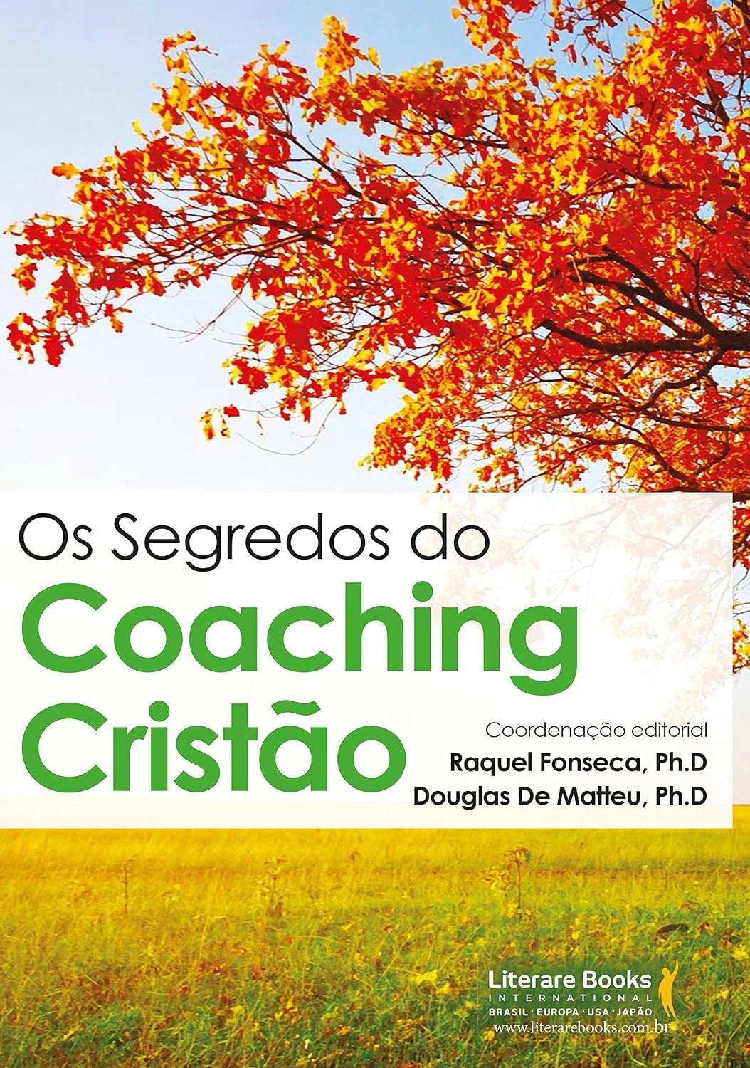 Capa do livro Os Segredos do Coaching Cristão